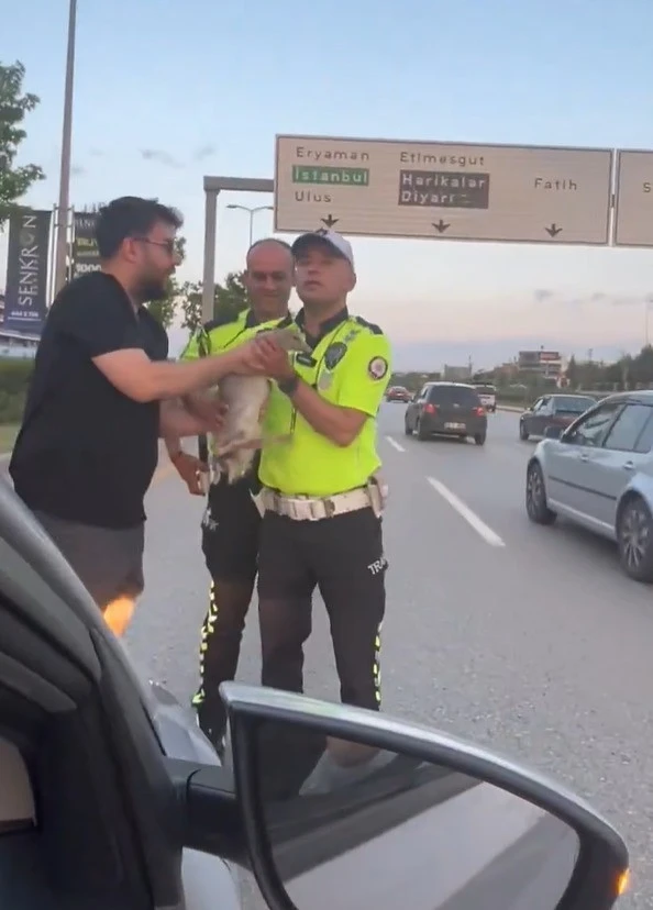 Otoyola atlayan ördek, duyarlı vatandaşlar ve trafik polislerinin müdahalesi ile kurtarıldı

