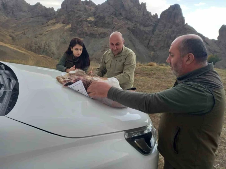 &Ouml;zalp&rsquo;ta ka&ccedil;ak avlanan 3 kişi hakkında işlem yapıldı
