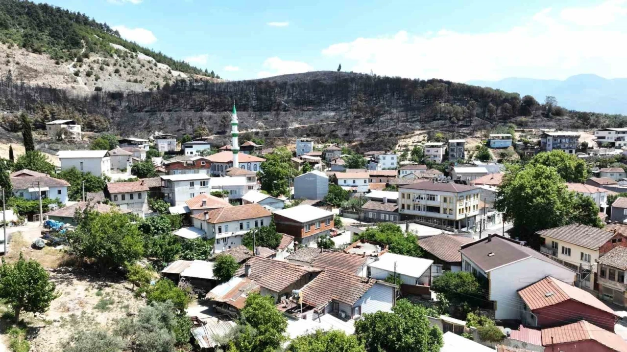 (Özel) Zümrüt yeşili orman manzaraları kömürlüğe döndü
