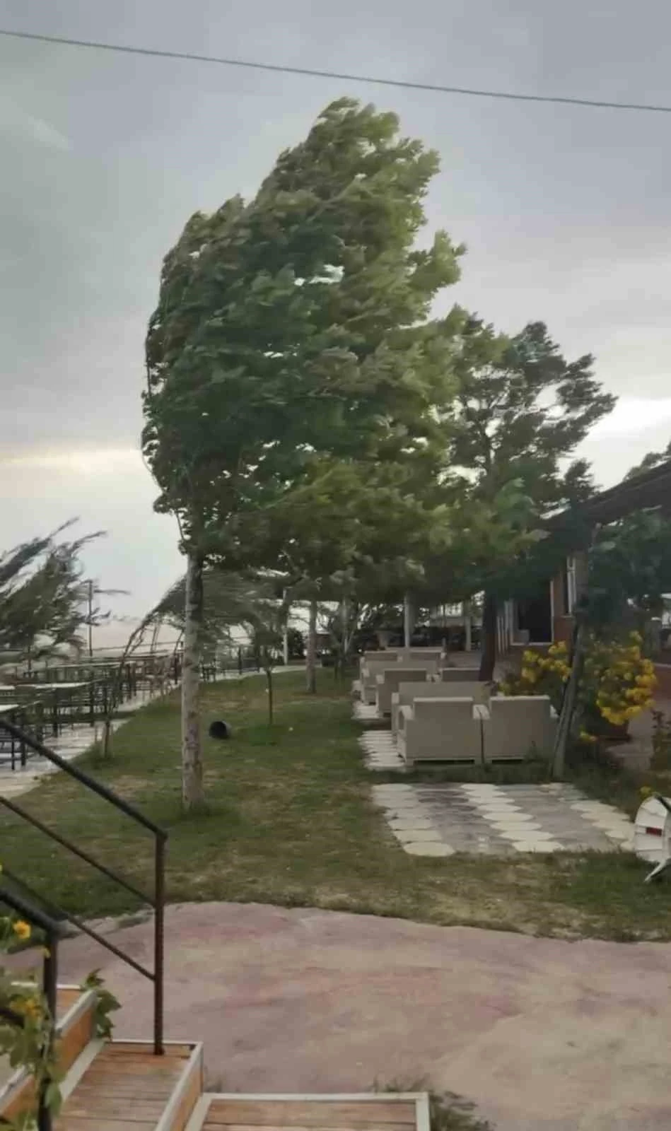 Palu’da fırtına etkili oldu
