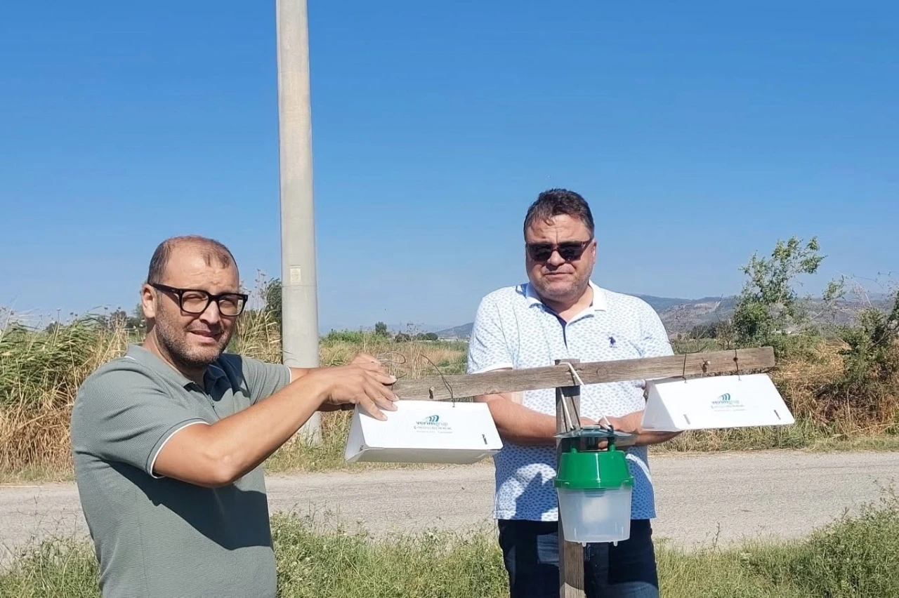 Pamuk tarlalarında zararlı takibi i&ccedil;in feromon tuzakları kuruldu
