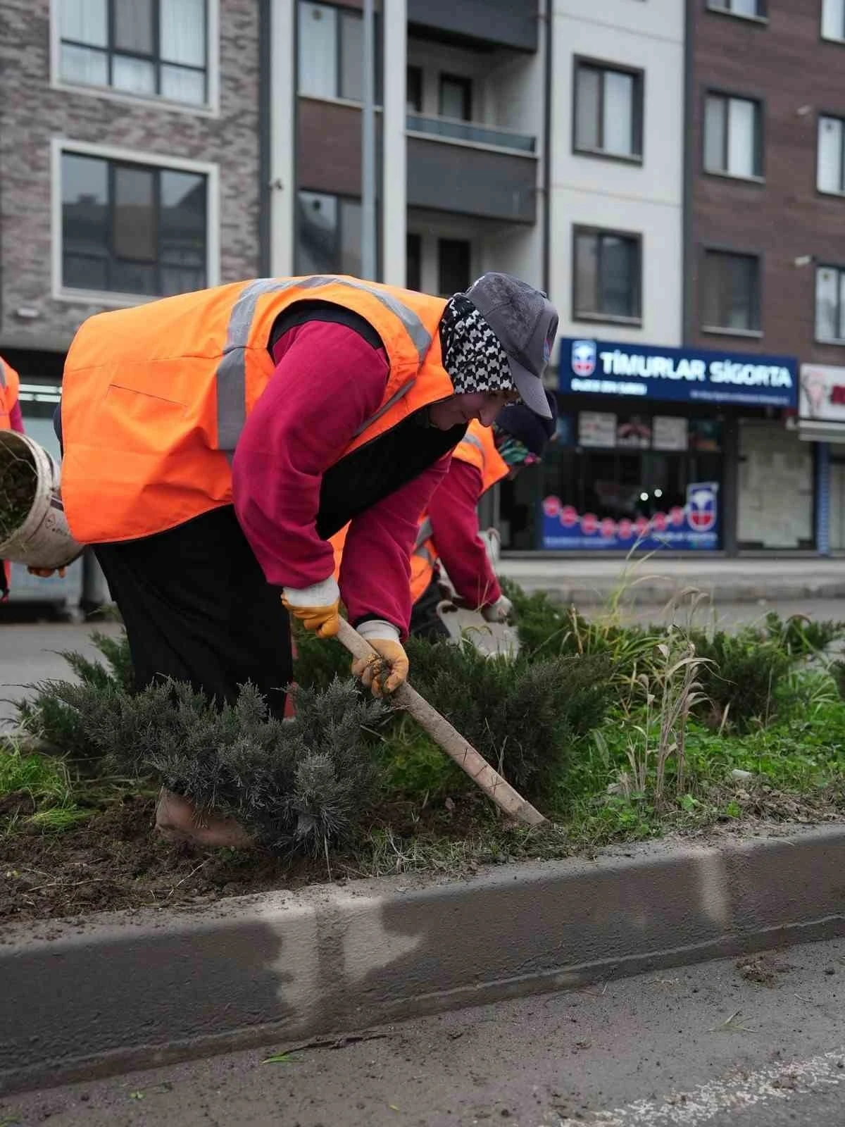 Park ve yeşil alanlarda peyzaj &ccedil;alışmaları s&uuml;r&uuml;yor
