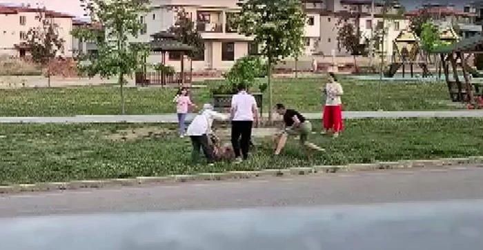 Parkta dolaştırılan k&ouml;peğe saldıran başıboş k&ouml;pek, doktor tarafından etkisiz hale getirildi
