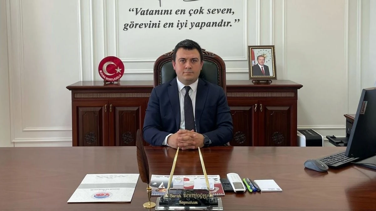 Patnos Kaymakamı Dertlioğlu: "Başıboş sokak k&ouml;peklerinin toplanmasında ciddi mesafe katettik"
