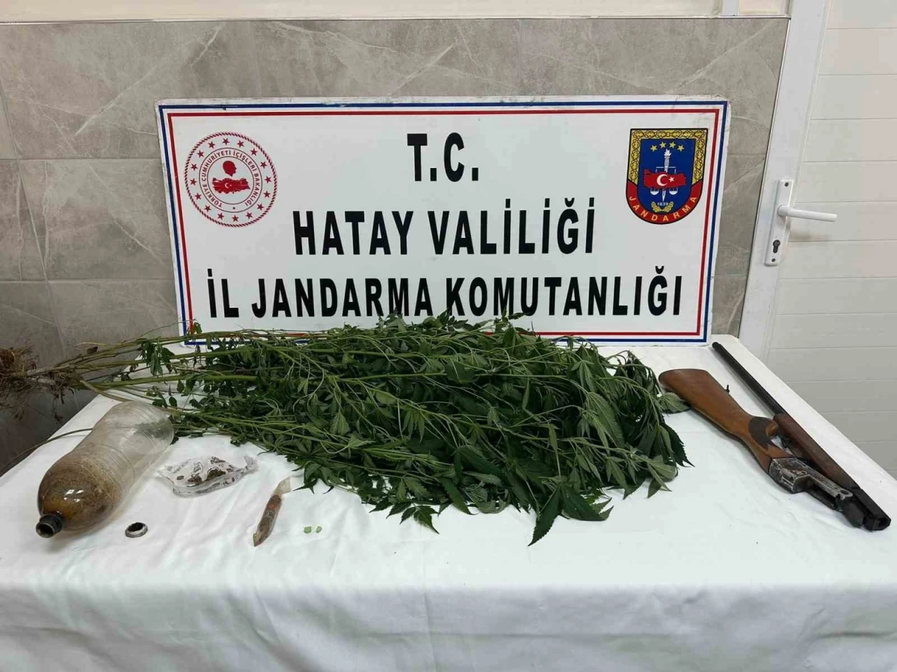 Payas’ta evinin bahçesinde hint keneviri yetiştiren şahıs yakayı ele verdi
