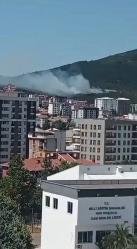 Pendik Aydos Ormanı’nda yangın kontrol altına alındı
