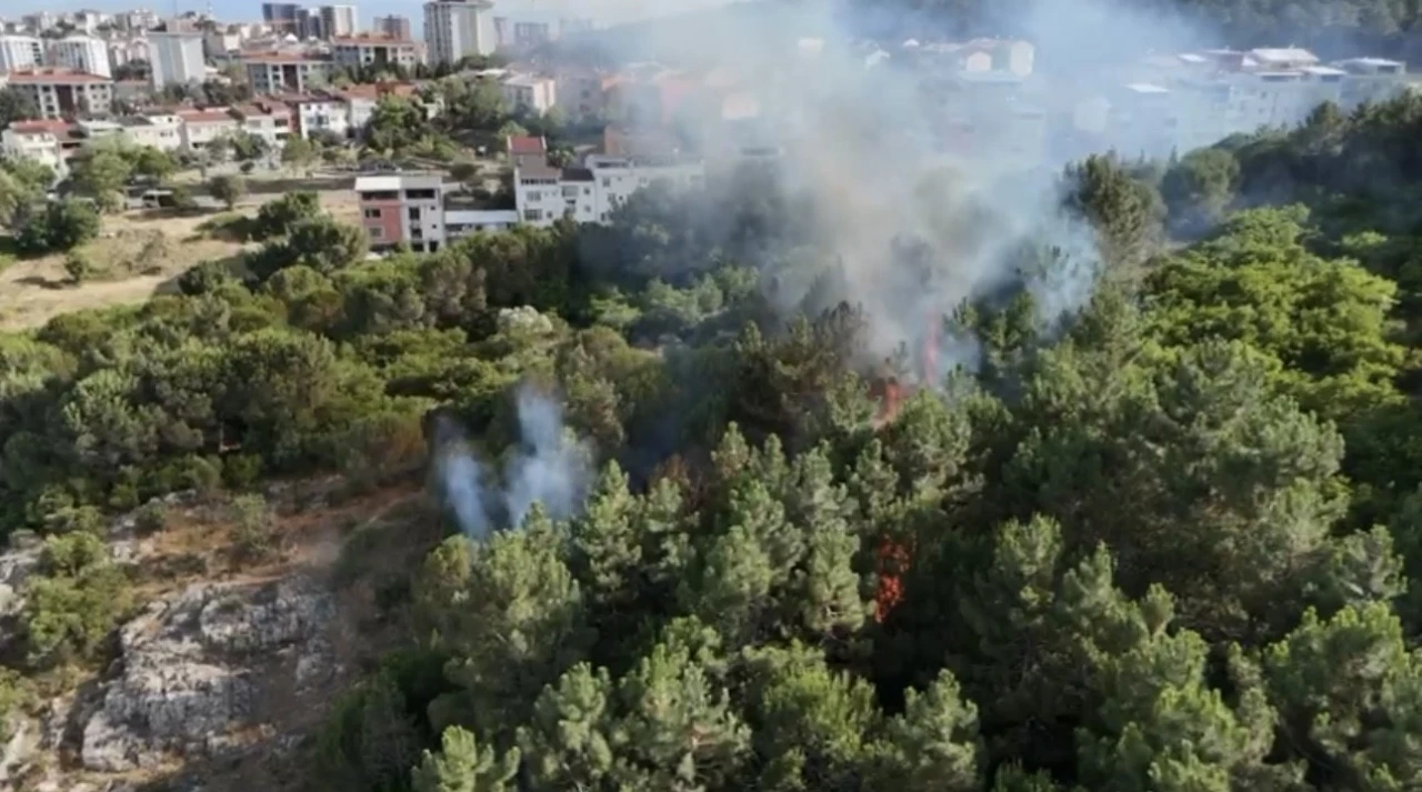 Pendik’te ormanlık alanda çıkan yangın söndürüldü
