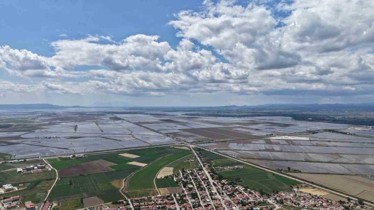 Pirinç ekilen alanlar havadan böyle görüntülendi: Venedik değil İpsala Ovası
