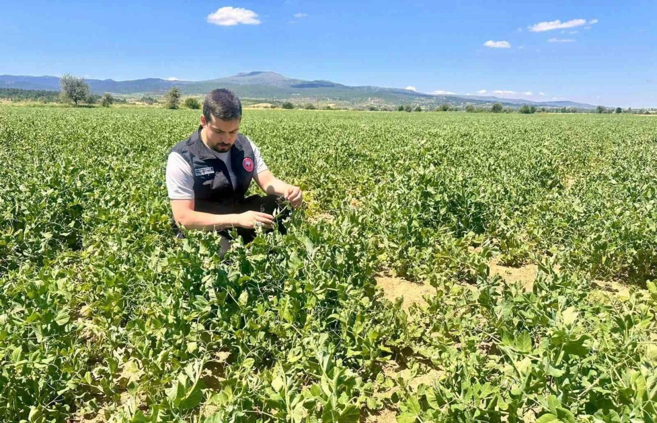Planlı tarımsal &uuml;retim i&ccedil;in saha &ccedil;alışmaları s&uuml;r&uuml;yor
