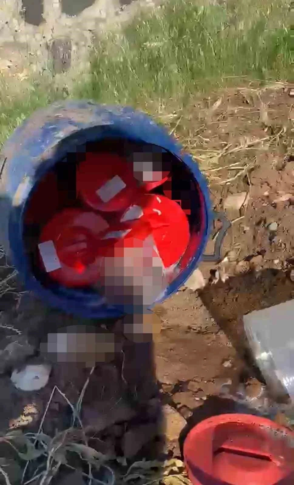 Plastik kutularda 21 cenin bulundu
