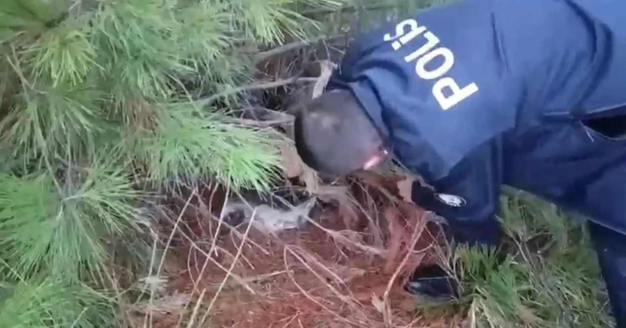 Polis kaçak avcılık tuzağı ele geçirdi
