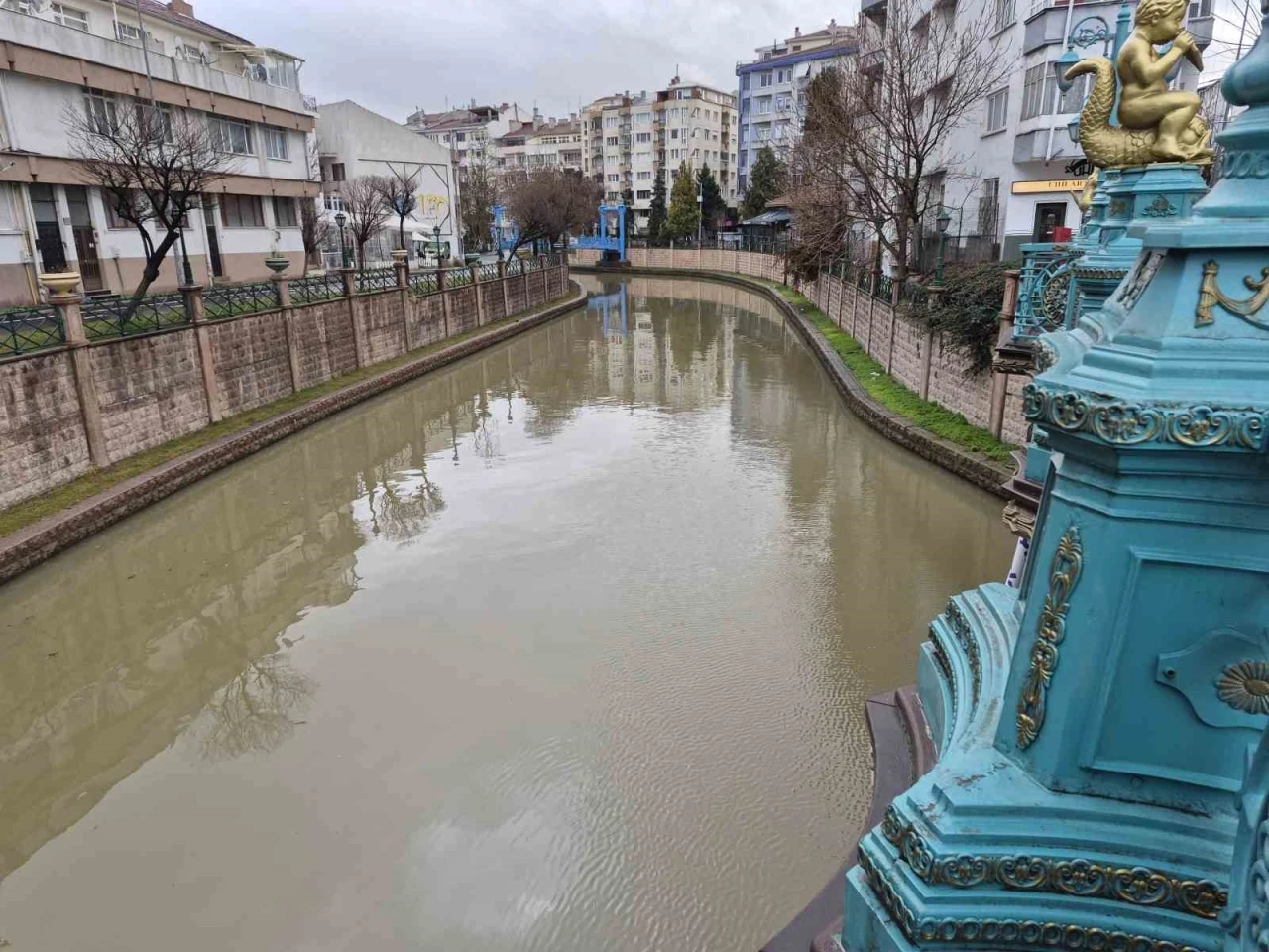Porsuk &Ccedil;ayı kahverengi tonuna b&uuml;r&uuml;nd&uuml;
