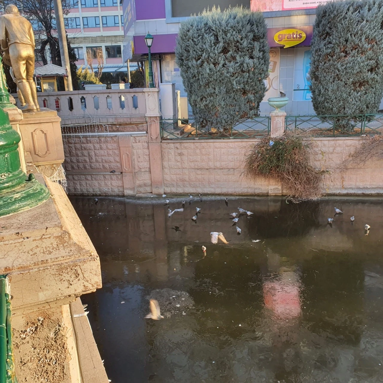 Porsuk&rsquo;un donduğunun resmidir
