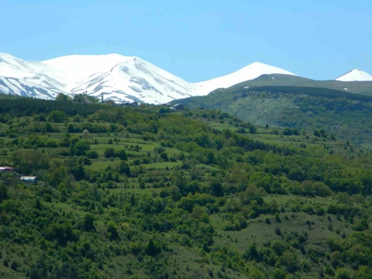 Posof’ta bahar görsel şölene dönüştü
