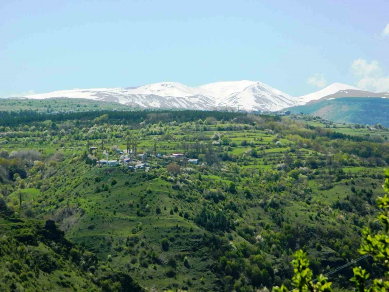 Posof’ta baharla gelen güzellikler
