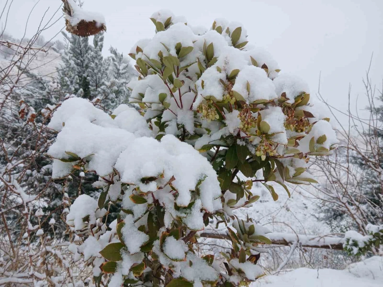 P&uuml;t&uuml;rge&rsquo;de kartpostallık g&ouml;r&uuml;nt&uuml;ler
