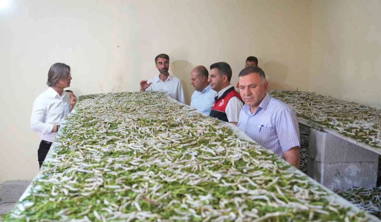 "Böcekle mi uğraşacaksın" sözlerine aldırmadı, binlerce lira kazandı
