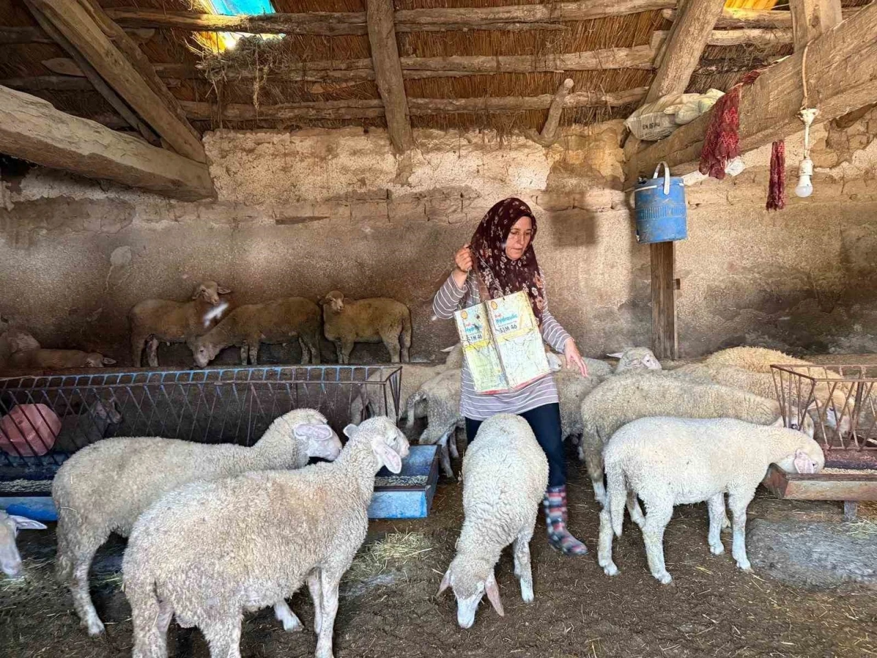 "Hayvanlara b&uuml;y&uuml; yaptı" denilerek vahşice &ouml;ld&uuml;r&uuml;len adamın karısı tek başına &ccedil;obanlık yaparak 2 oğlunu okutmaya &ccedil;alışıyor
