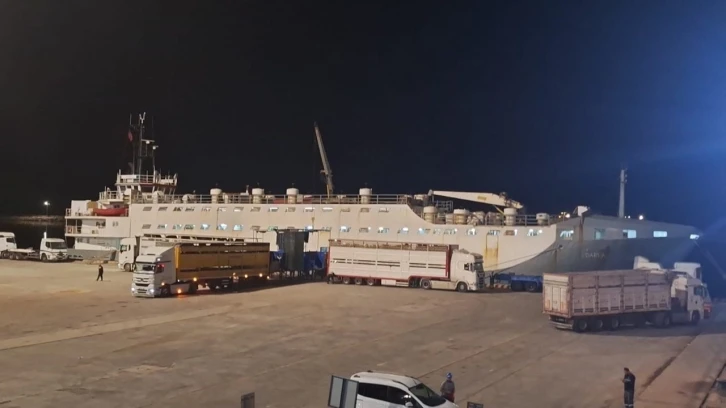 &quot;Yüzen Ahır&quot; Bandırma Çelebi Limanına gelmeye devam ediyor
