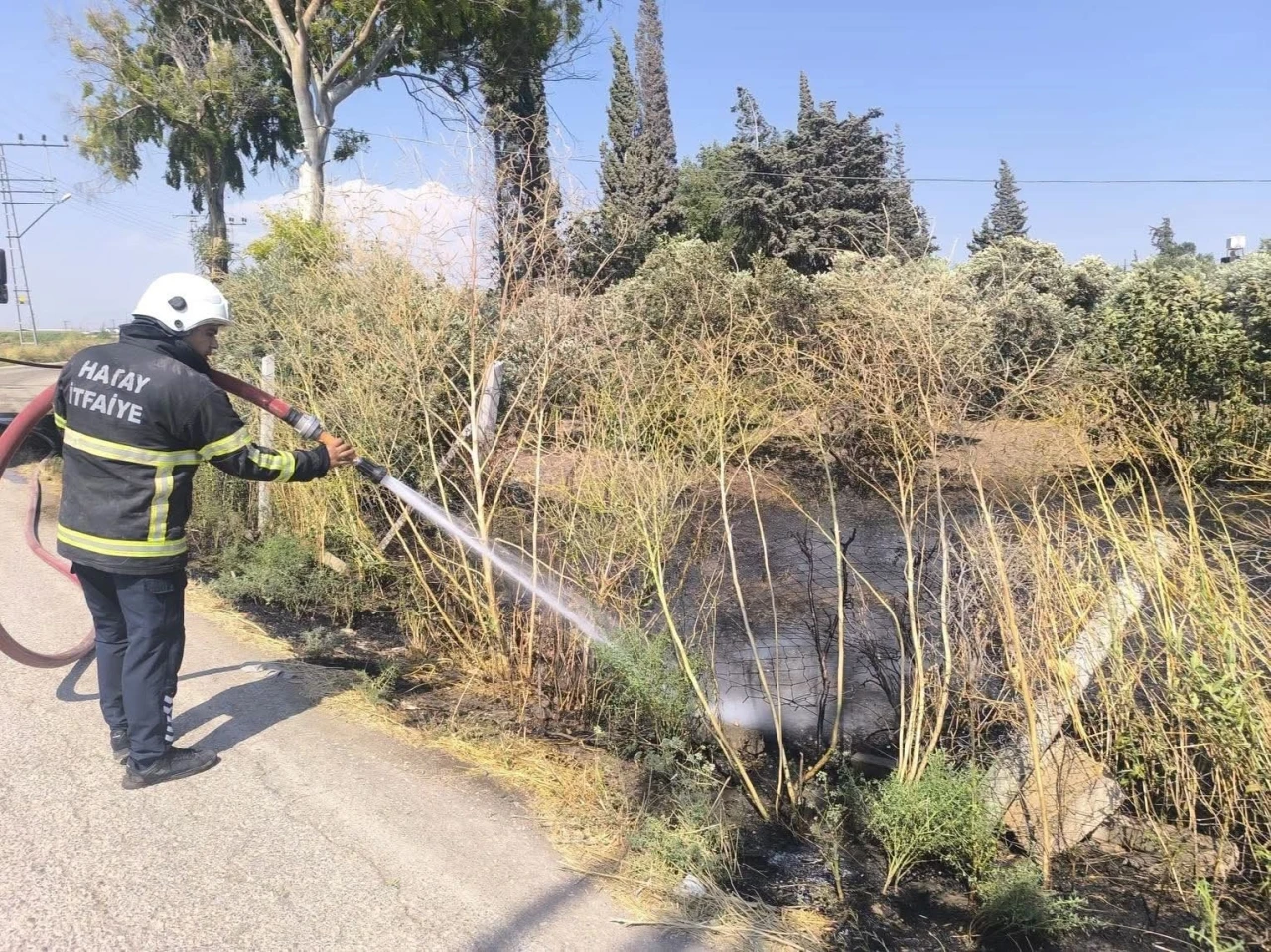 Reyhanlı&rsquo;da zeytinlik alandan alevler y&uuml;kseldi
