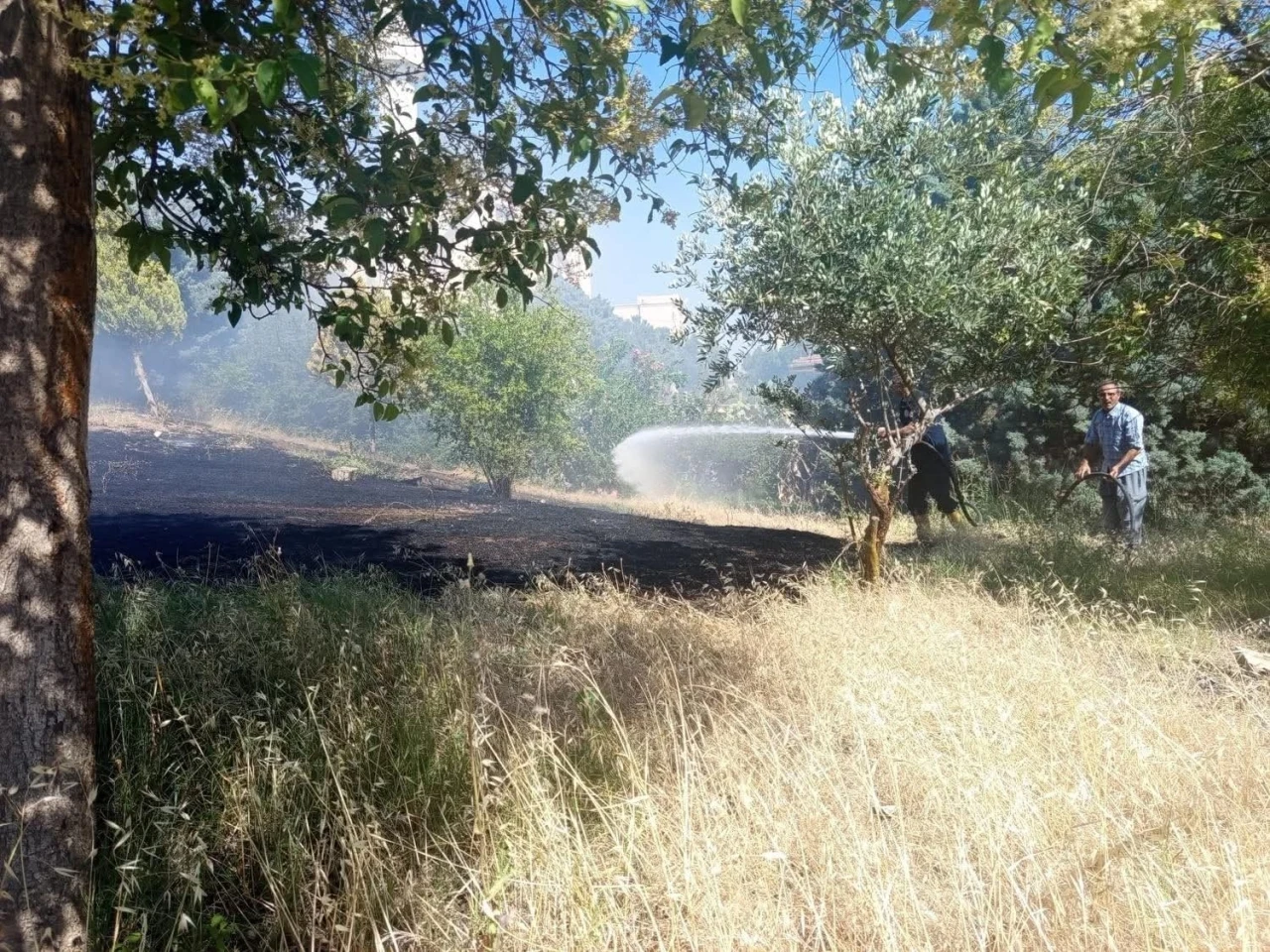 Reyhanlı&rsquo;da zeytinlik yangını
