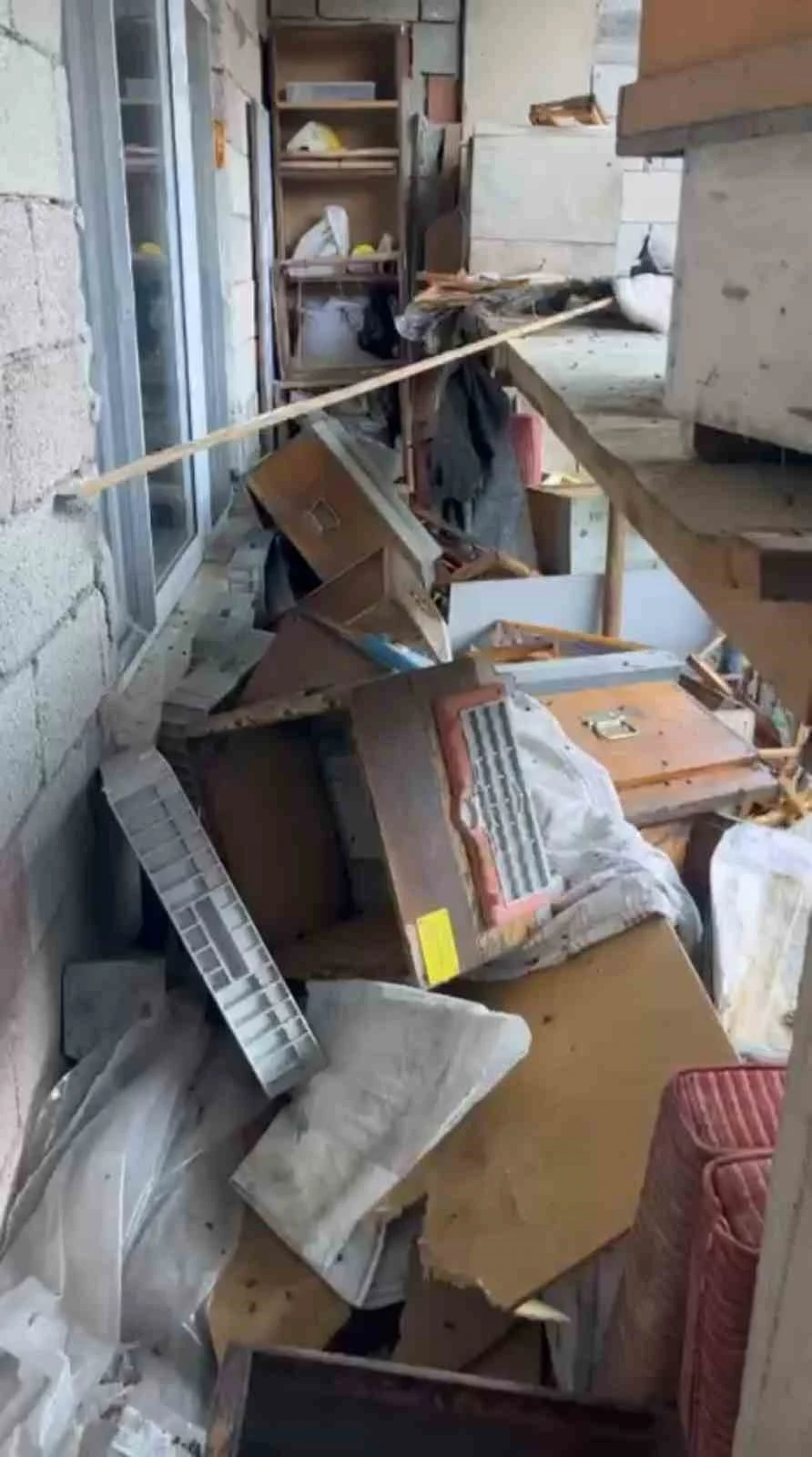 Rize’de ayı 30 Anzer balı peteğini telef etti, Anzer balı üreticisi yaşadığı soruna isyan etti
