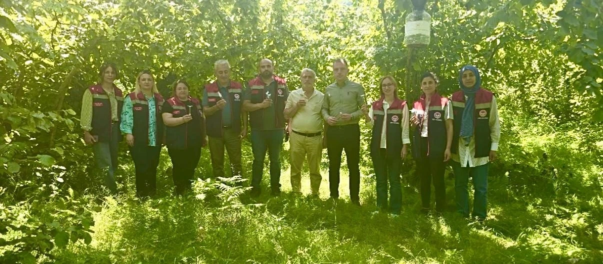Rize’de kahverengi kokarcaya karşı 50 bin adet samuray doğaya salındı
