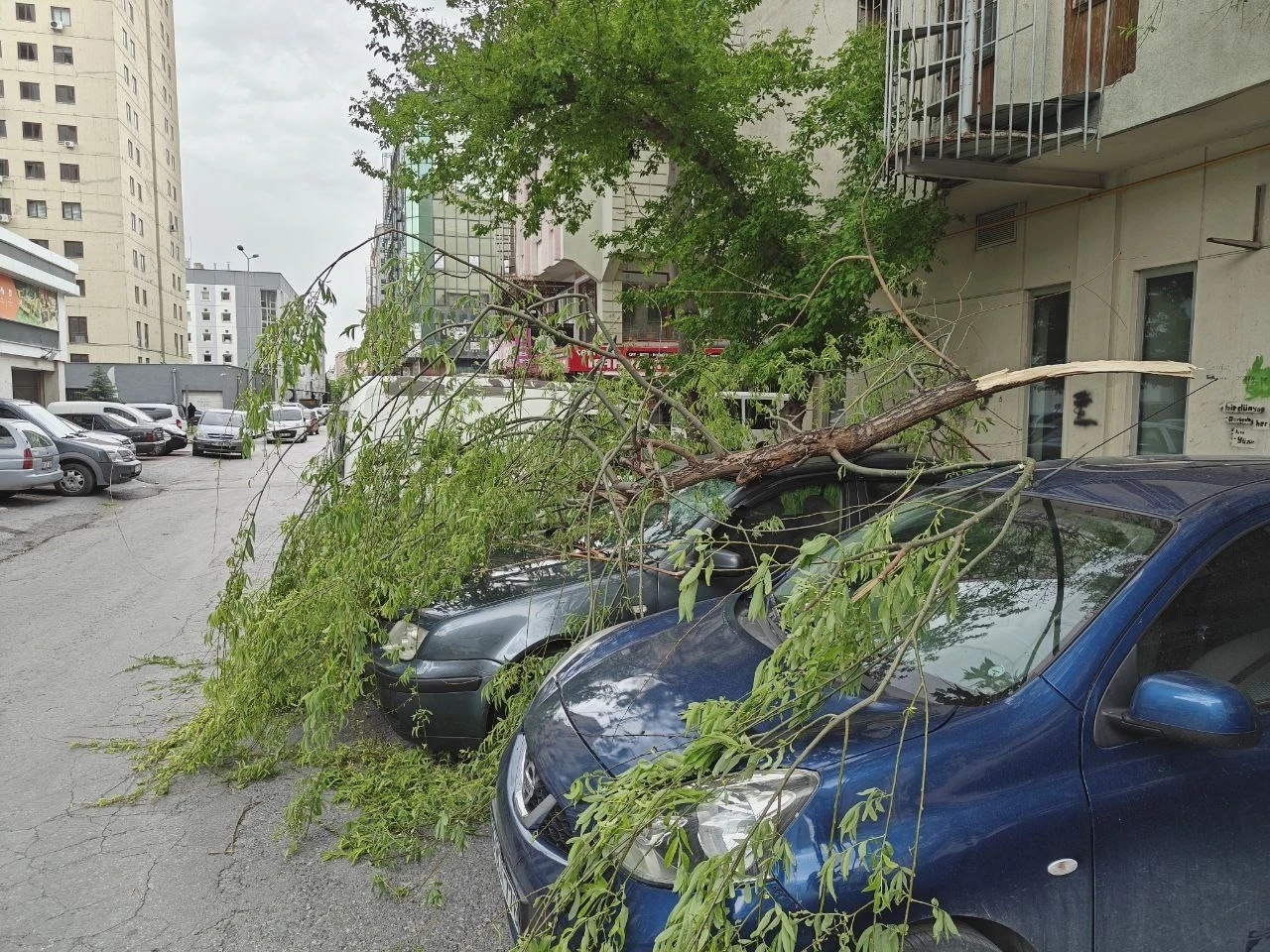 Rüzgarda kırılan ağaç dalı otomobillerin üzerine düştü
