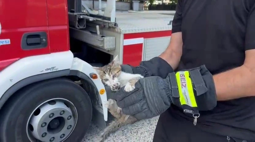 Saatlerce ağa&ccedil;ta bekledi, duyarlı vatandaşın &ccedil;ağrısıyla kurtarıldı
