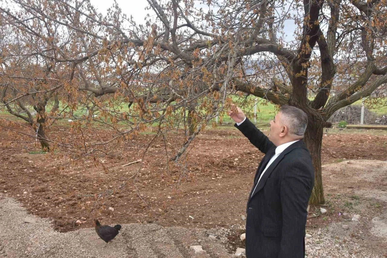 Sadıkoğlu: &quot;Verilecek destekler sadece kayısıyı değil, şehrimizin geleceğini ilgilendiriyor&quot;
