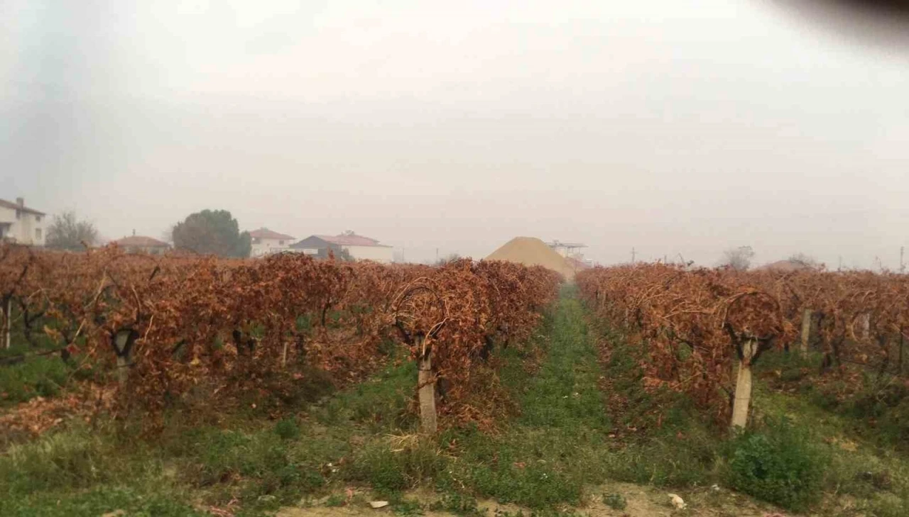 Sağanak yağmur &ccedil;ift&ccedil;ileri sevindirdi
