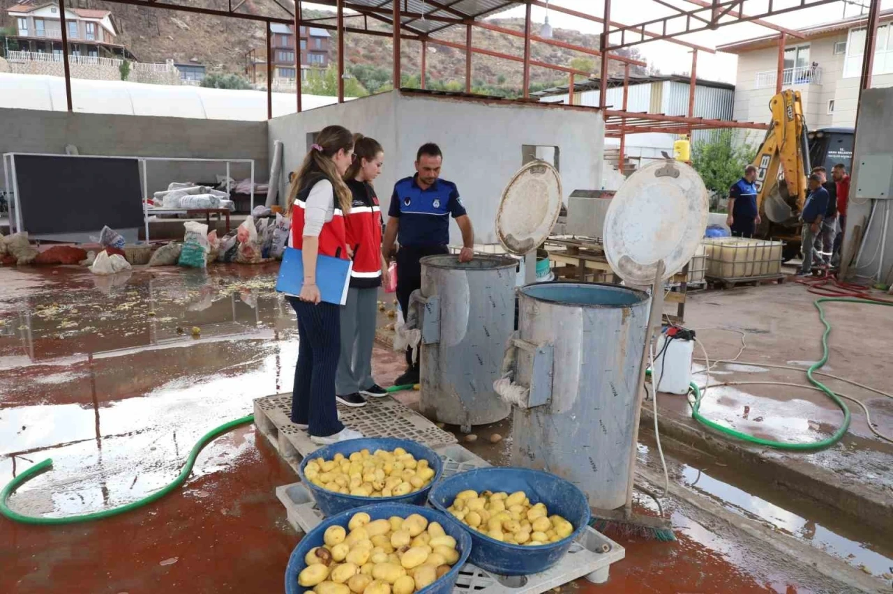 Sağlıksız şartlarda patates dilimleyen işletme mühürlendi

