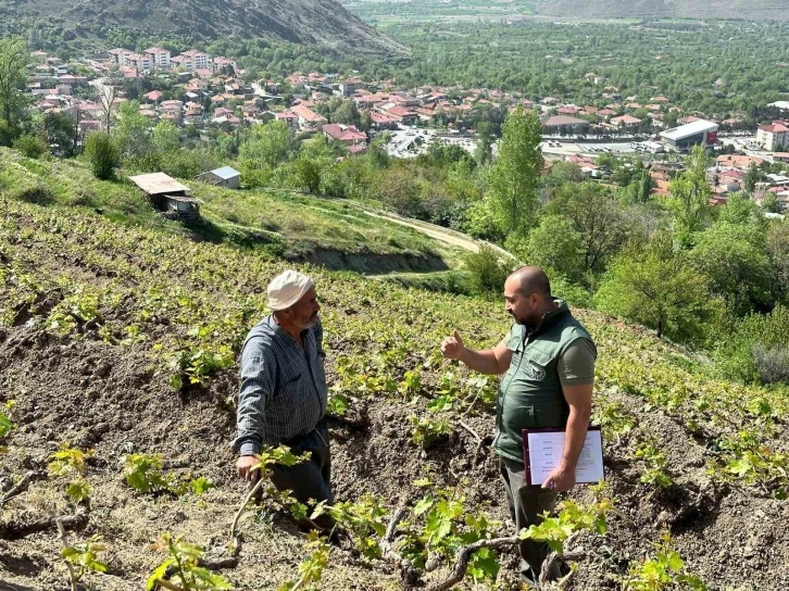 Sahayı adım adım dolaşıyorlar
