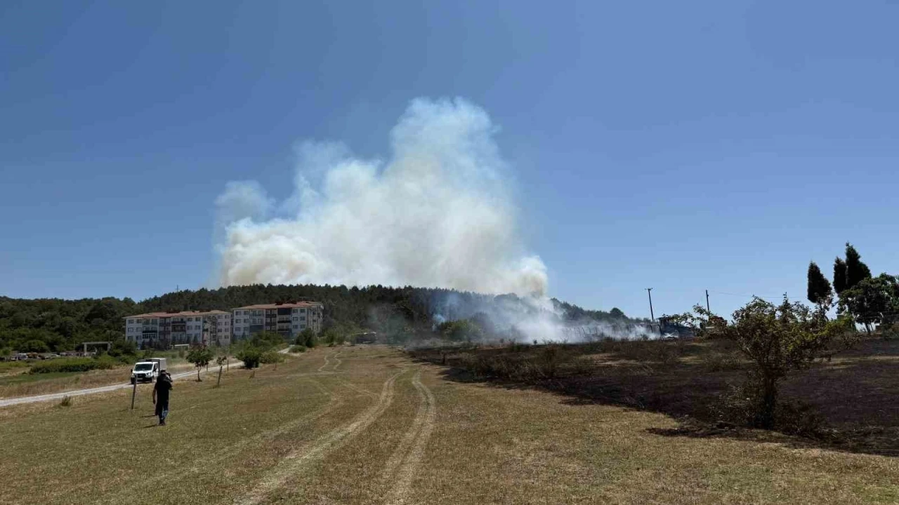 Sakarya’da depoda çıkan yangın ormana sirayet etti
