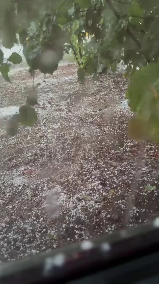 Sakarya’da dolu tarım arazilerini vurdu
