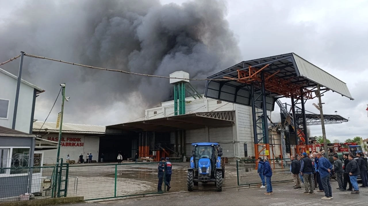 Sakarya’da fabrika yangını
