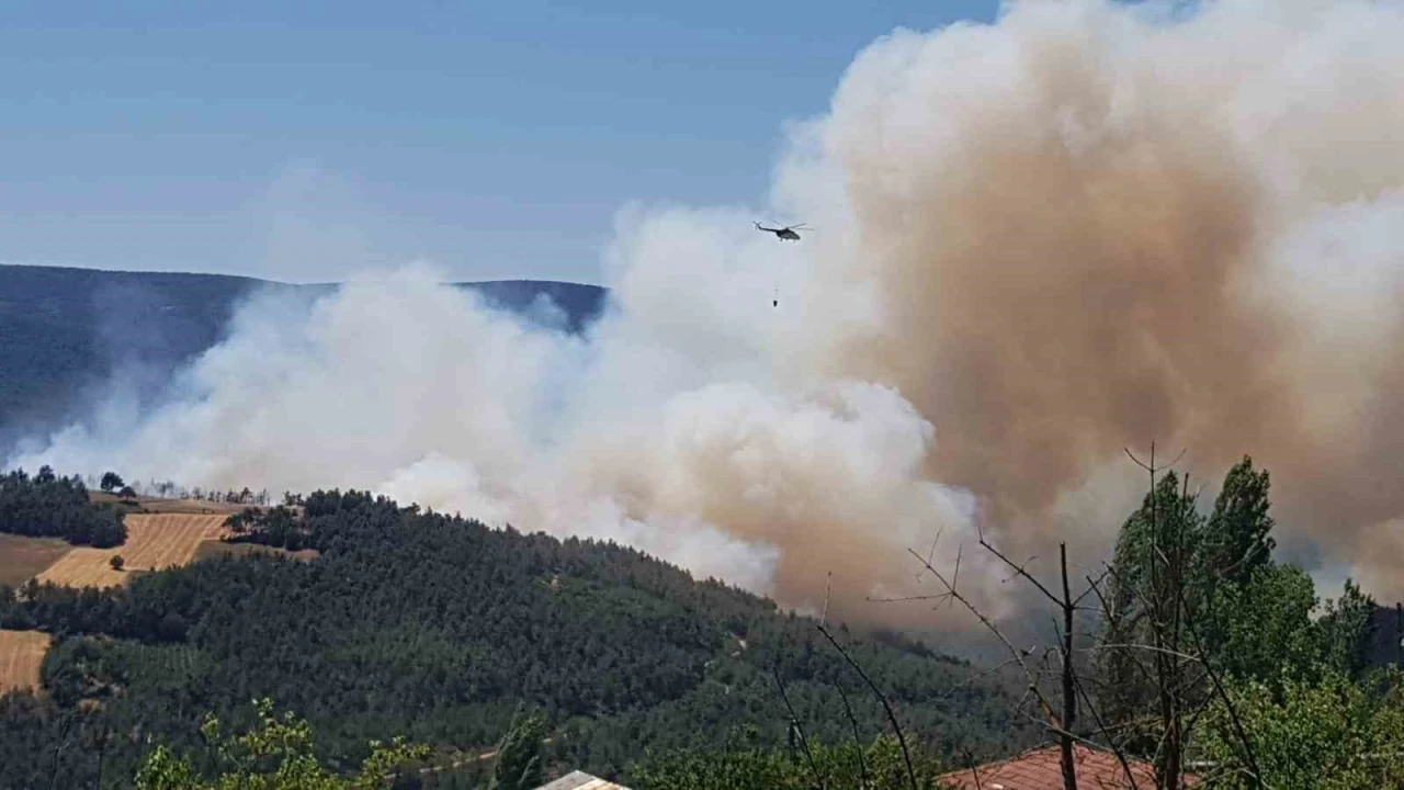 Sakarya’da orman yangını: Bölgeye çok sayıda ekip sevk edildi
