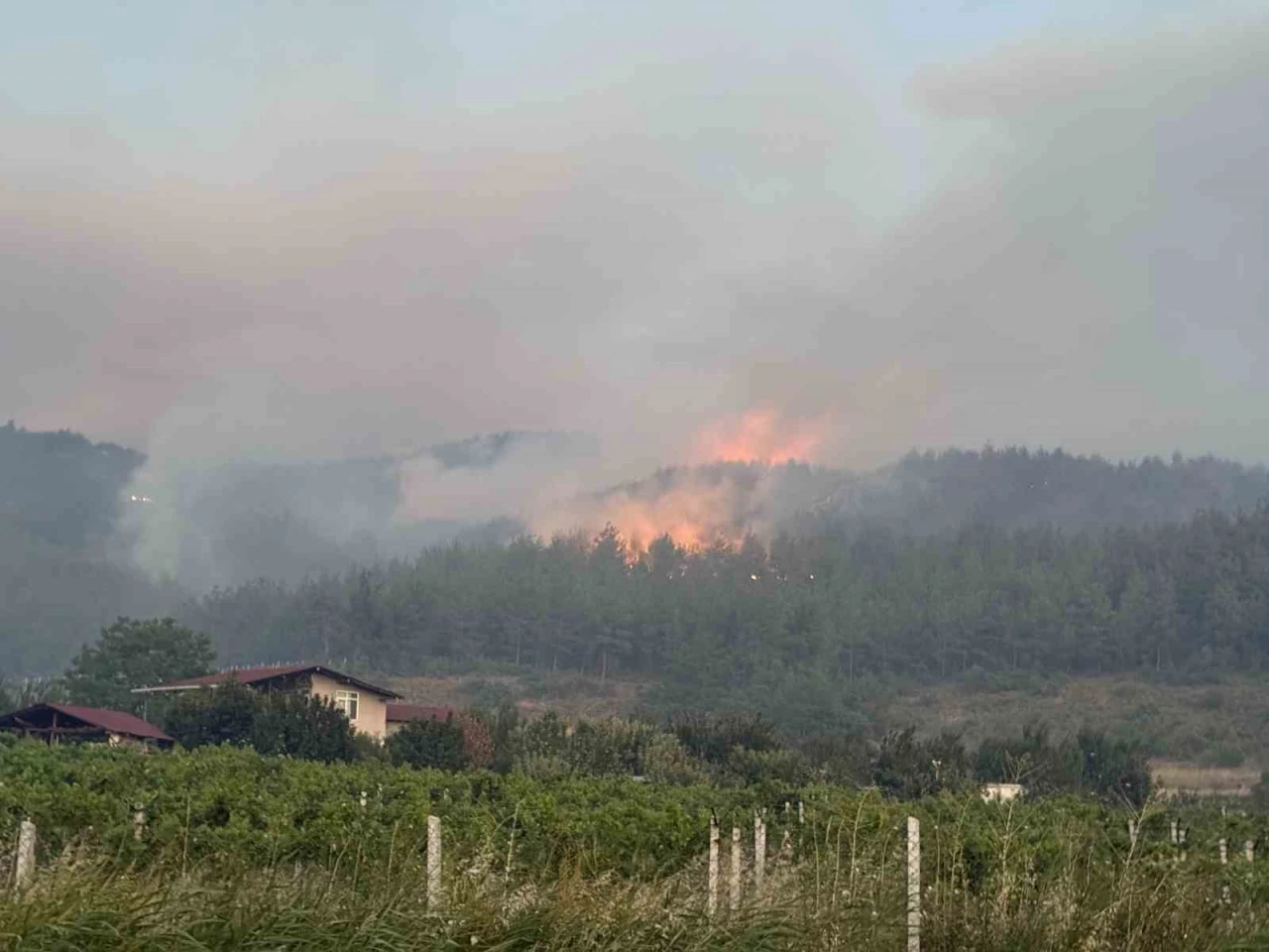 Sakarya’da orman yangınına 8 helikopter, 5 uçak müdahale ediyor

