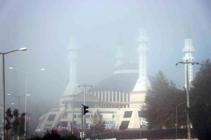 Sakarya&rsquo;da sis
