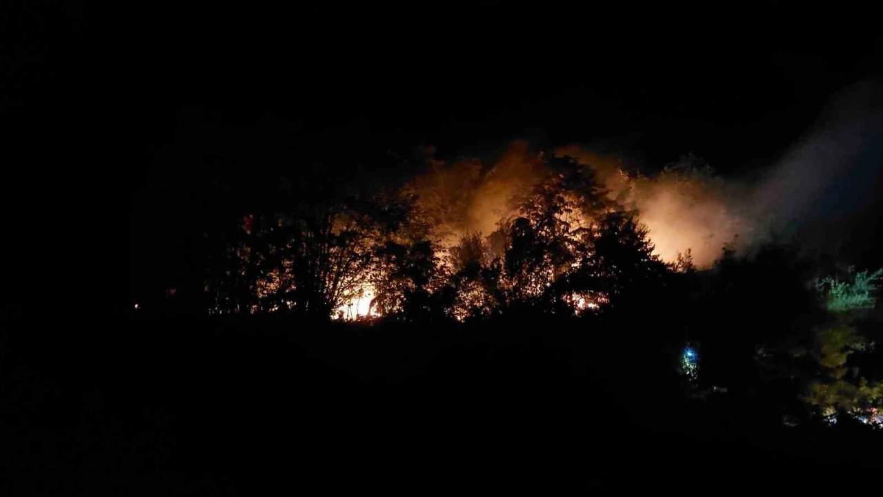 Sakarya’daki yangınla ilgili 1 kişi tutuklandı
