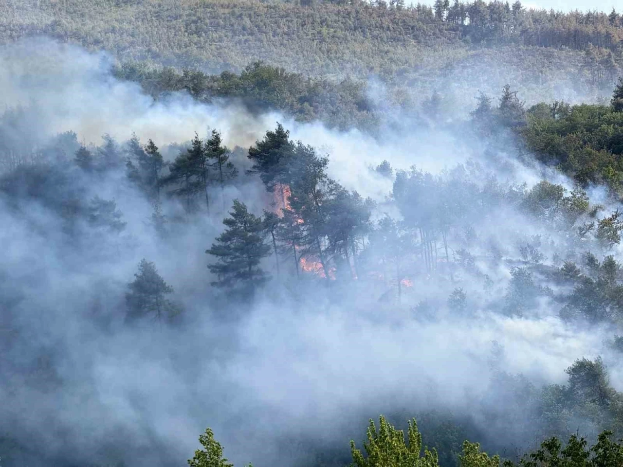 Sakarya’dan, Bilecik’e sıçrayan yangının çıkış sebebi belli oldu
