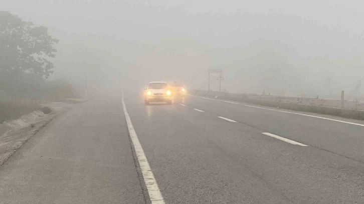 Sakarya güne sisle uyandı: Görüş mesafesi 20 metreye kadar düştü
