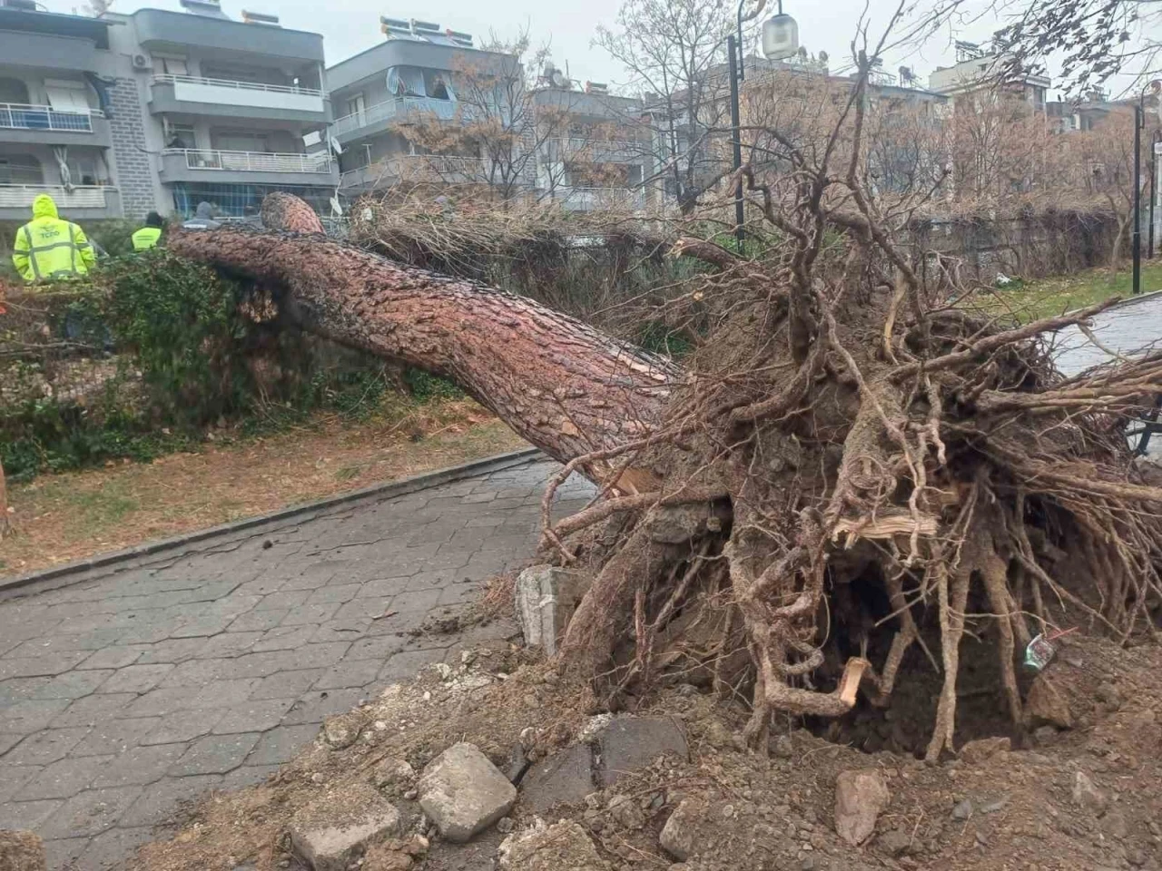 Salihli&rsquo;yi fırtına vurdu, ağa&ccedil;lar devrildi, &ccedil;atılar u&ccedil;tu
