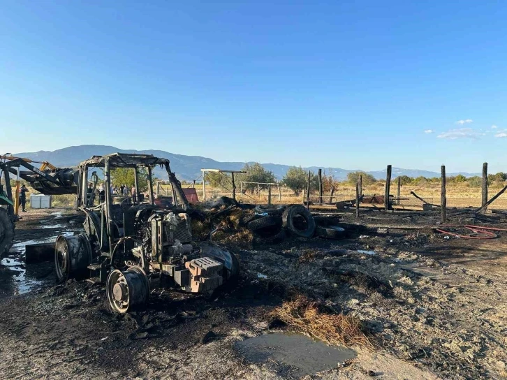 Samanlık yangınında trakt&ouml;r ve saman balyaları k&uuml;le d&ouml;nd&uuml;, 2 hayvan telef oldu
