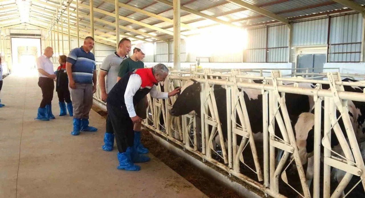Samsun’da ari işletme sayısı 10’a yükseldi
