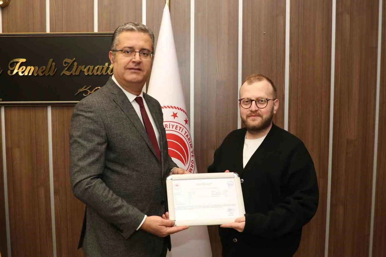 Samsun&rsquo;da ari işletme sayısı 12&rsquo;ye y&uuml;kseldi
