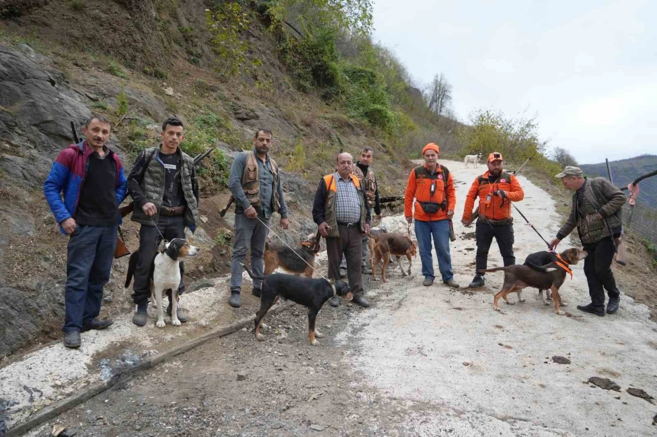 Samsun’da domuz alarmı: Avcılığa "takoz" engeli
