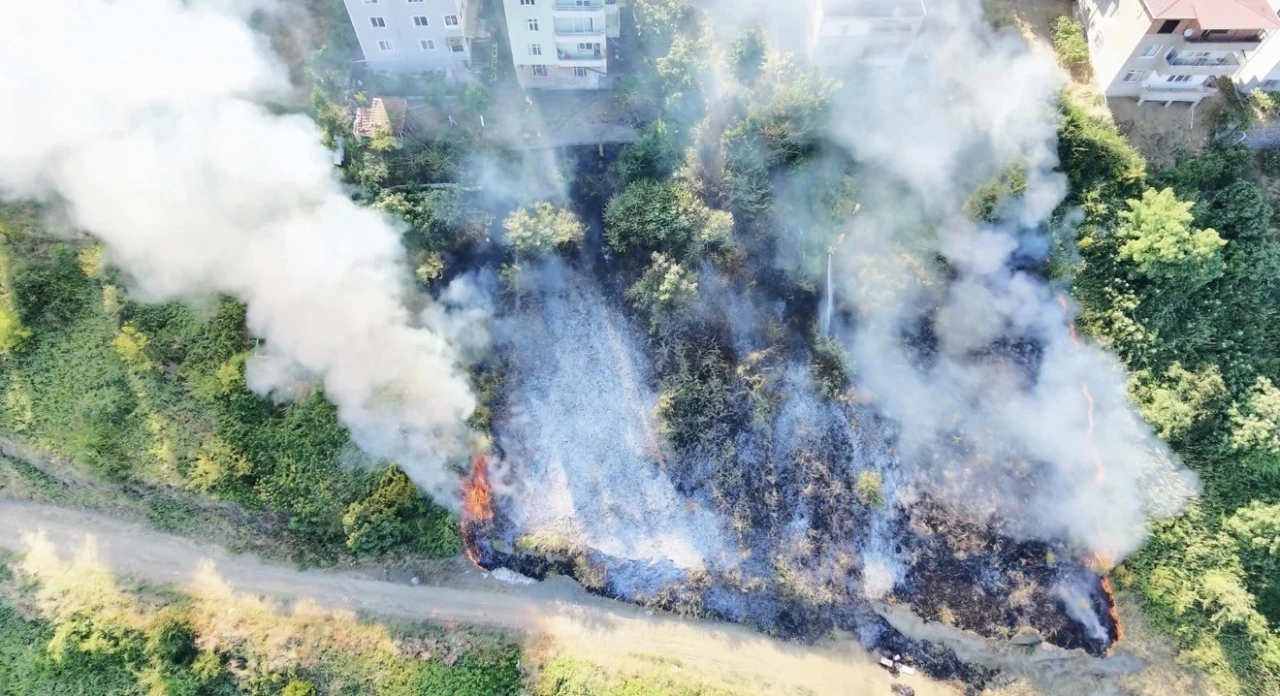 Samsun&rsquo;da korkutan anız yangını
