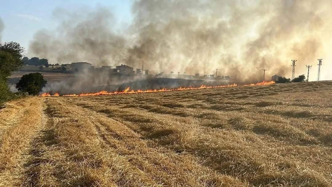 Samsun’da korkutan anız yangını
