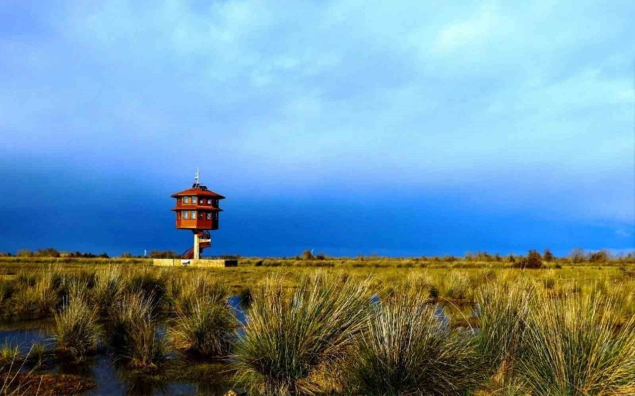 Samsun&rsquo;da tabiat parklarını 186 bin 271 kişi gezdi
